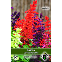 Salvia