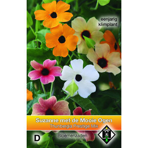 Van Hemert & Co Zaden Suzanne Met De Mooie Ogen Van Hemert & Co Zaden Suzanne Met De Mooie Ogen