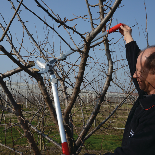 Felco Felco 220 - Takkenschaar