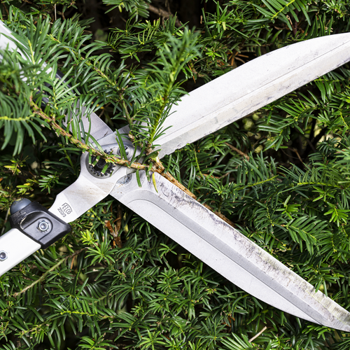 Felco FELCO 250/63 - Heggenschaar