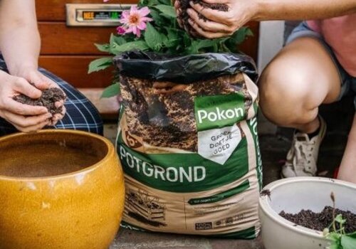 Voeding voor Gazon, Bloemen & Planten