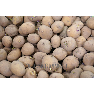 De Landwinkel Frieslander - Pootaardappel