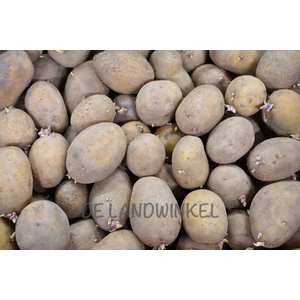 De Landwinkel Nicola - Pootaardappel