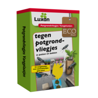 ECO - Potgrondvliegjes Vangplaatjes