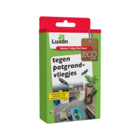 Nema-T-Bag Pot Plant