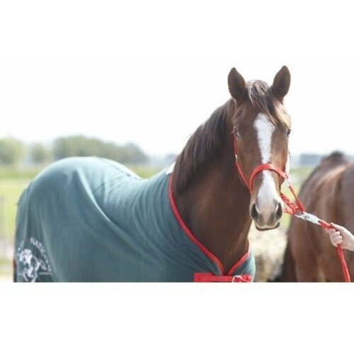 Grand National Paardendeken Fleece 195 cm