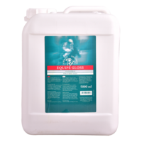 Equipe Gloss Glansspray 5 Liter