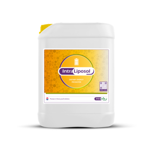 Intracare Intra Liposol 20 Liter Intracare Intra Liposol 20 Liter