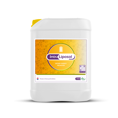 Intracare Intra Liposol 20 Liter | Drinkwatersupplement voor Energiebenutting