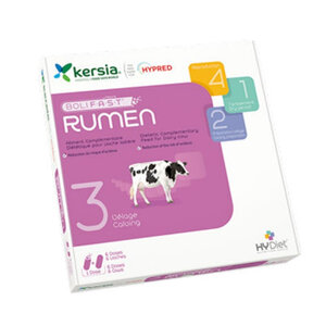 Kersia Bolifast Rumen - 12 Bolussen Kersia Bolifast Rumen - 12 Bolussen
