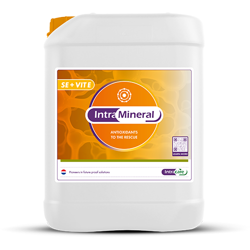 Intracare Intra Mineral Se + Vit E 10 Liter | Selenium & Vitamine E Intracare Intra Mineral Se + Vit E 10 Liter | Selenium & Vitamine E