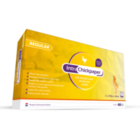 Intra Chickpaper REGULAR