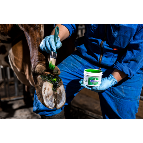 Intracare Hoof-fit Gel 330 ml | Antibioticavrije Klauwgel Intracare Hoof-fit Gel 330 ml | Antibioticavrije Klauwgel