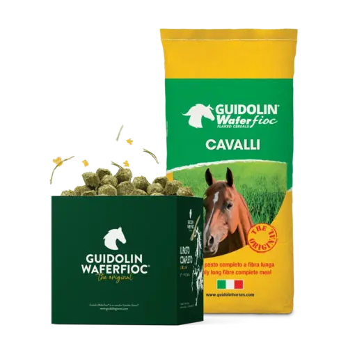 Guidolin Guidolin Wafer Fioc - Cavalli - 20kg. Guidolin Guidolin Wafer Fioc - Cavalli - 20kg.