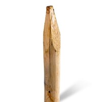 Kastanje 1,4M. 08/10 A+
