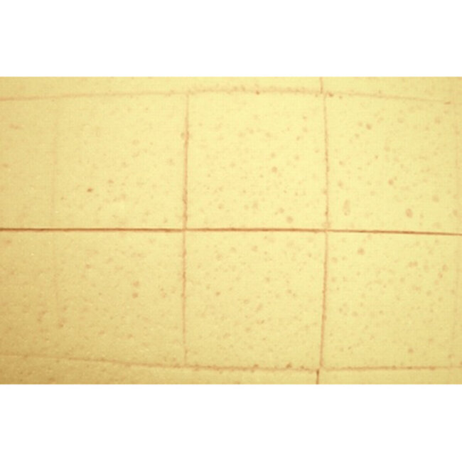 Sponsspaan SUPER PROF Hydro 34x20 cm XL Ingesneden