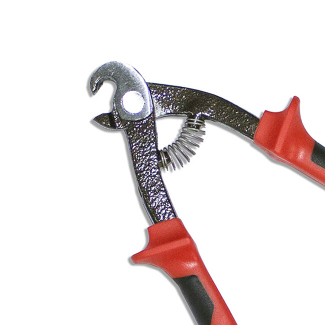 Rubi Papegaaienbektang