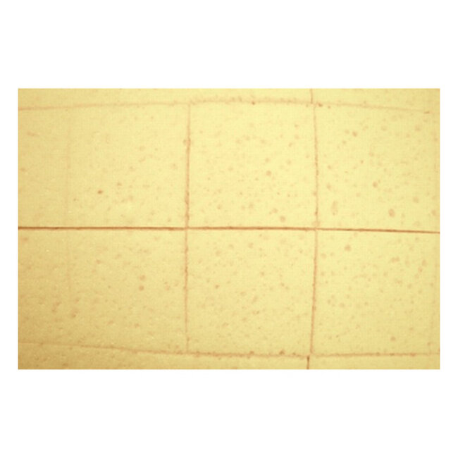 BIHUI Sponsbord Ingesneden 280 x 140 x 30 mm. Soft Grip