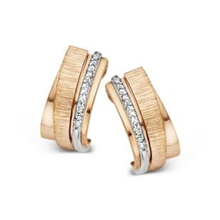 Oorbellen Bicolor Goud 18kt O01117BB