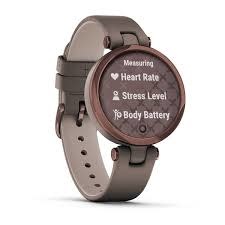 Garmin 010-02384-B0 Lily Paloma