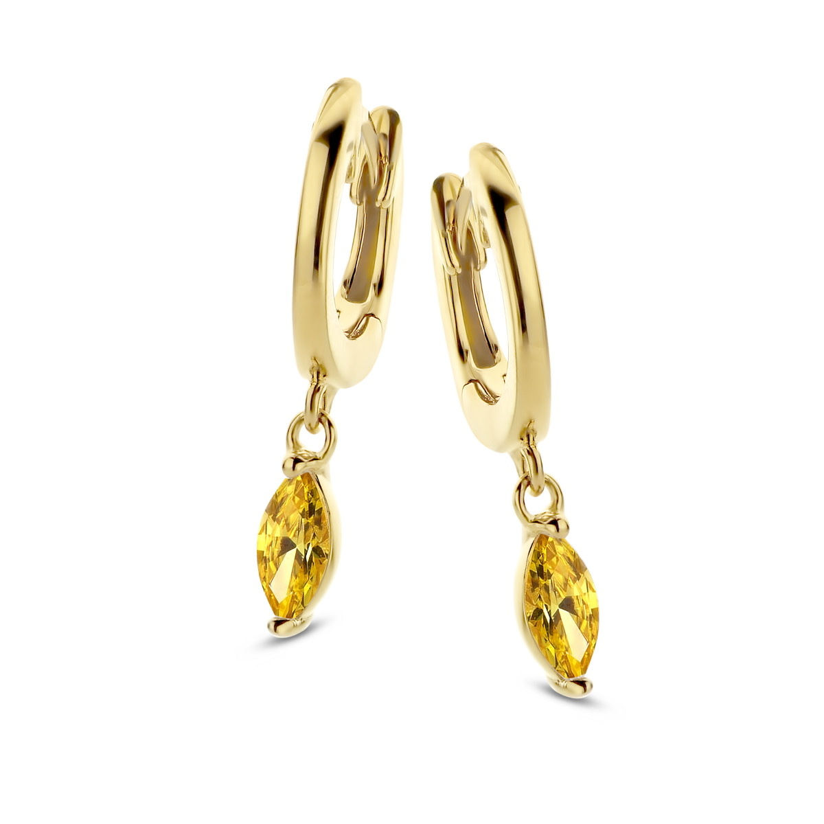 Oorbellen Naiomy Moments B1B24 Zilver Verguld