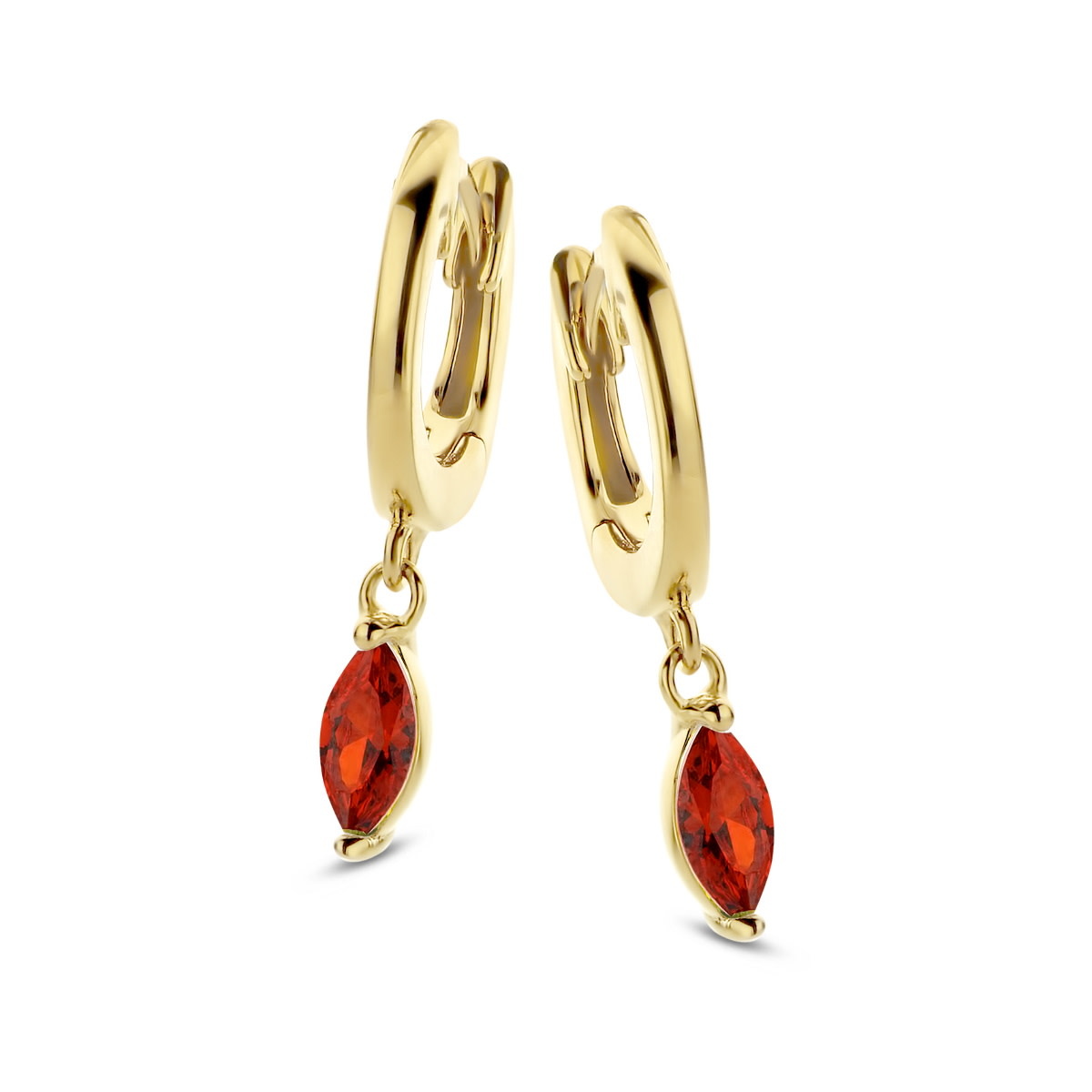 Oorbellen Naiomy Moments B1B25 Zilver Verguld