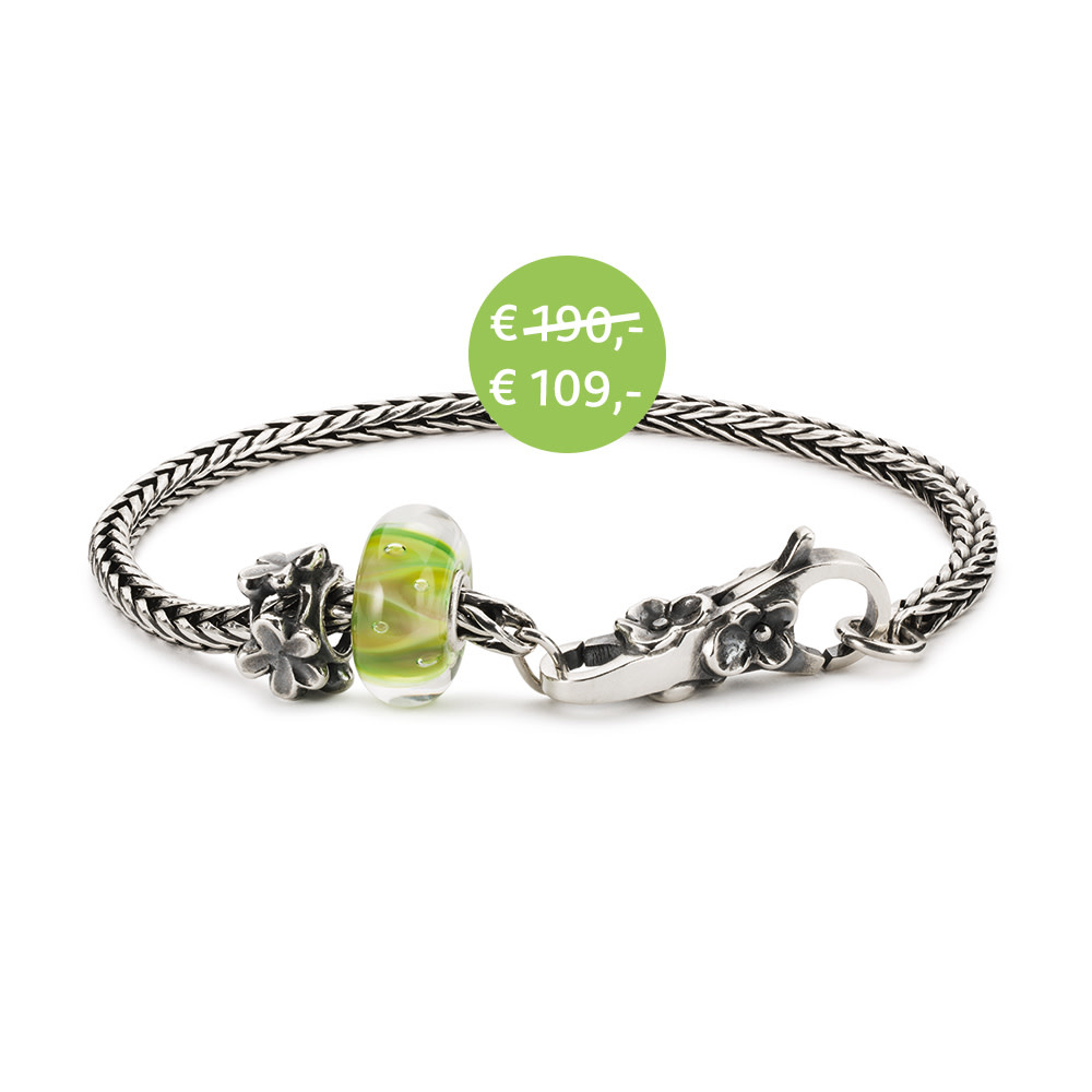 Trollbeads Starterarmband Zilver TSA21D20 armband van harmonie 20 cm