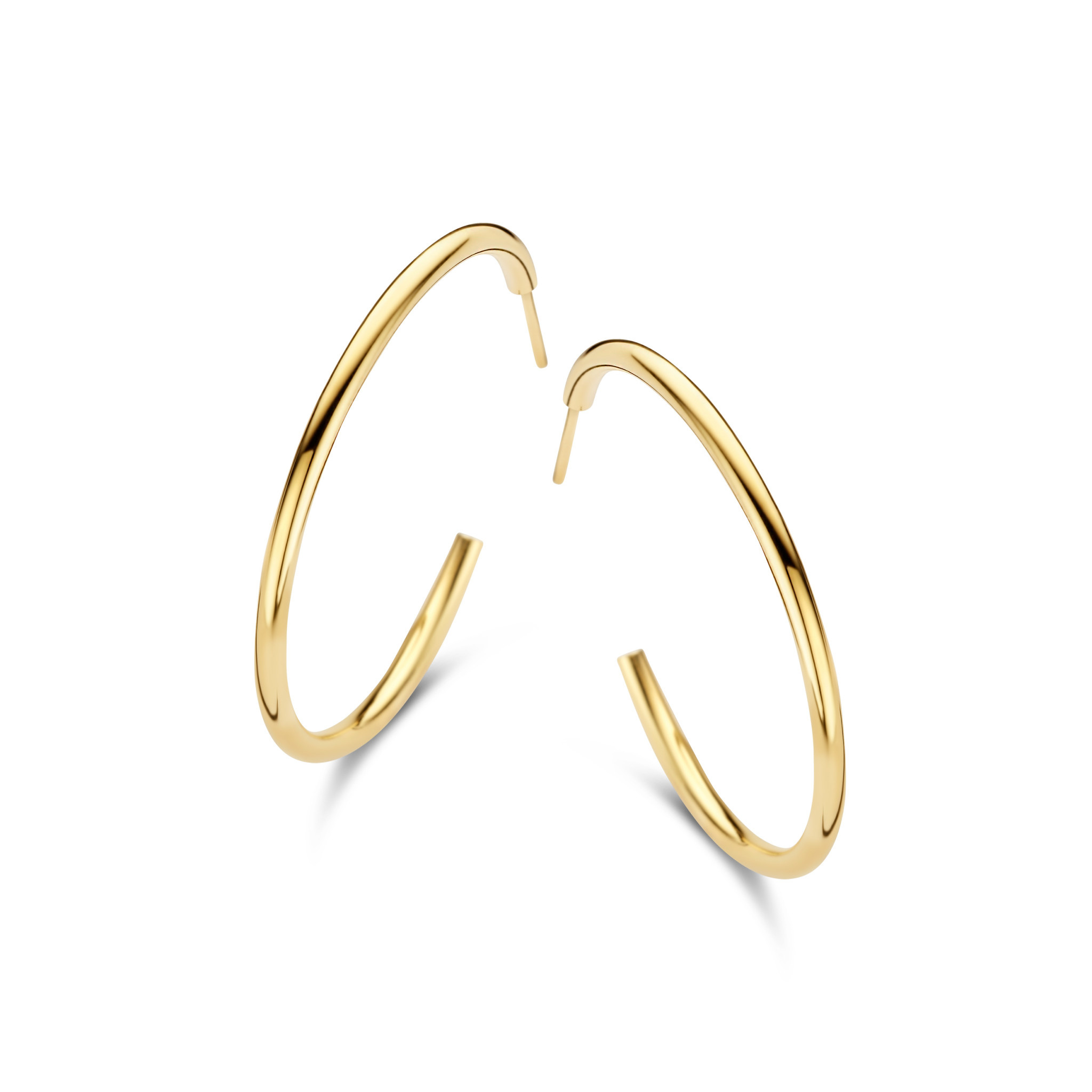 Creolen Naiomy Moments B1X06 Zilver Goudkleurig