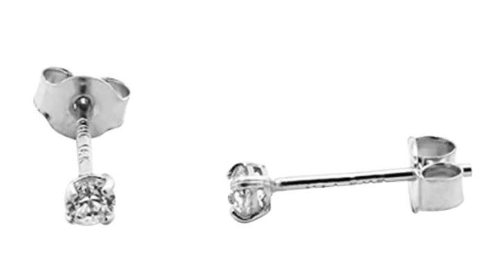 Oorbellen Silver Rose EA1602