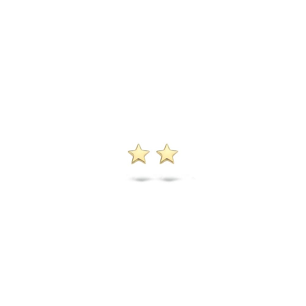Oorbellen Goud 14kt 7247YGO