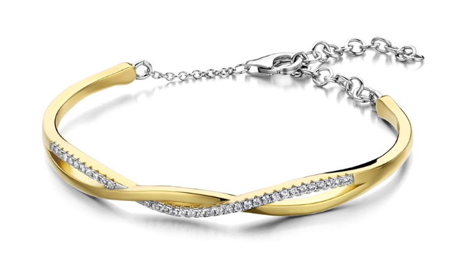 Esclave Silver Rose Zilver Verguld BR2268G