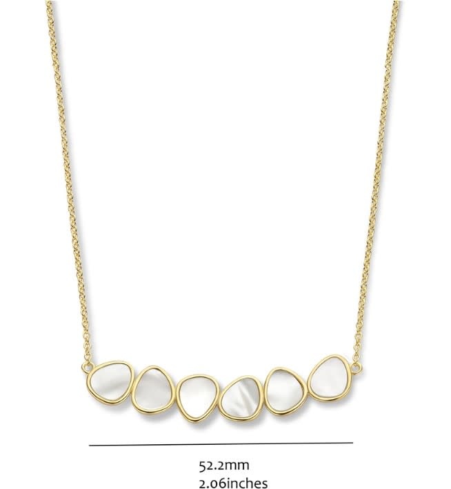 Halsketting Silver Rose Zilver CH2233GM