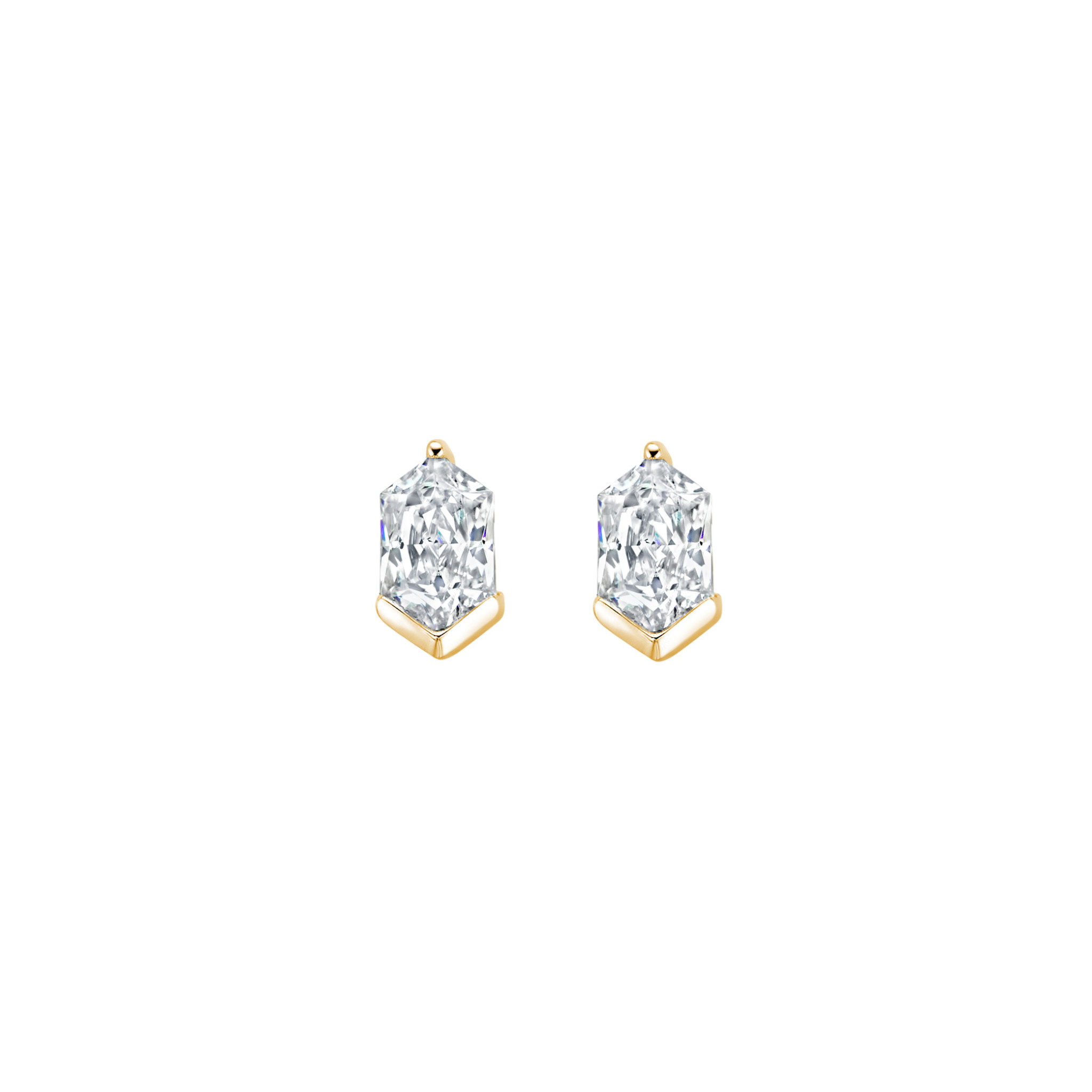 Oorbellen FJF0030017YWH