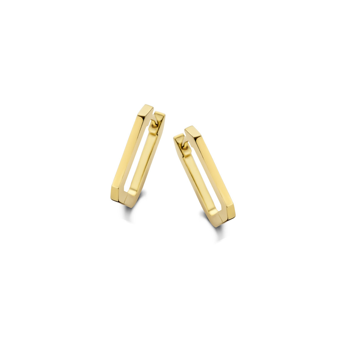 Creolen Naiomy N3Q58 Zilver Verguld