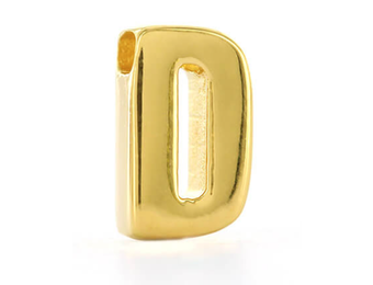 Hanger Letter D zilver roos