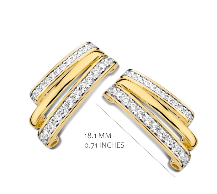 Oorbellen Silver Rose Zilver EA2372G