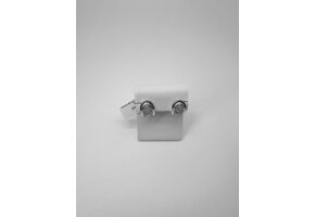 Oorbellen Wit Goud 18kt 0252wi