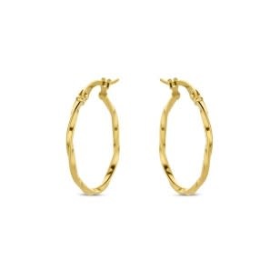 Oorbellen Wit Goud 18kt GO3037WI
