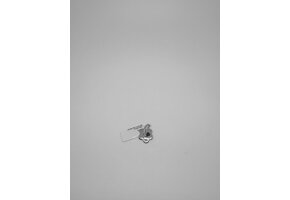 Hanger Wit Goud 9kt PTDA5153X1