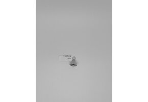 Hangertje Wit Goud klokje 18kt