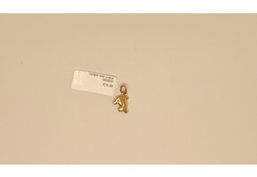 Hanger 18kt Dolfijn G026330