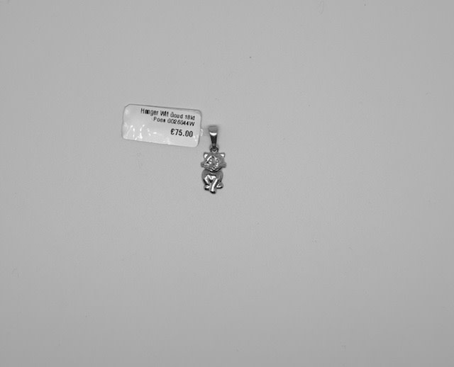 Hanger Wit Goud 18kt Poes GO26044W