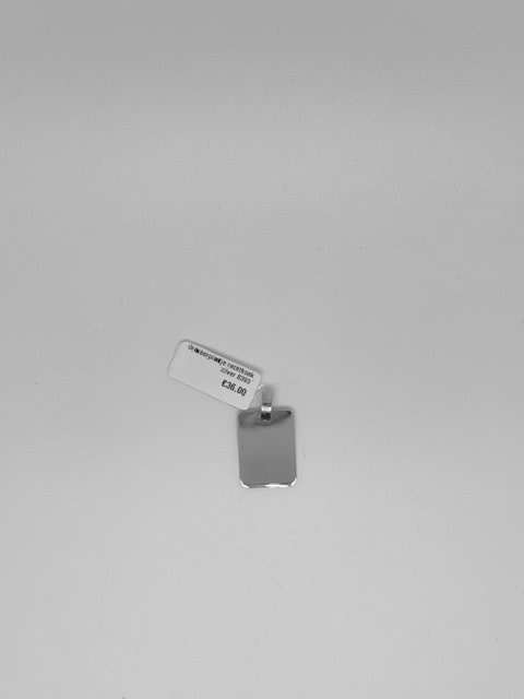 Graveerplaatje rechthoek zilver B393