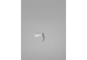 Hanger Zilver M3343 Hoorn des Overvloeds