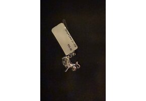 Hanger Horoscoop Zilver Leeuw BZ16