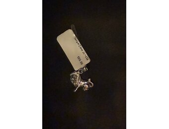 Hanger Horoscoop Zilver Leeuw BZ16