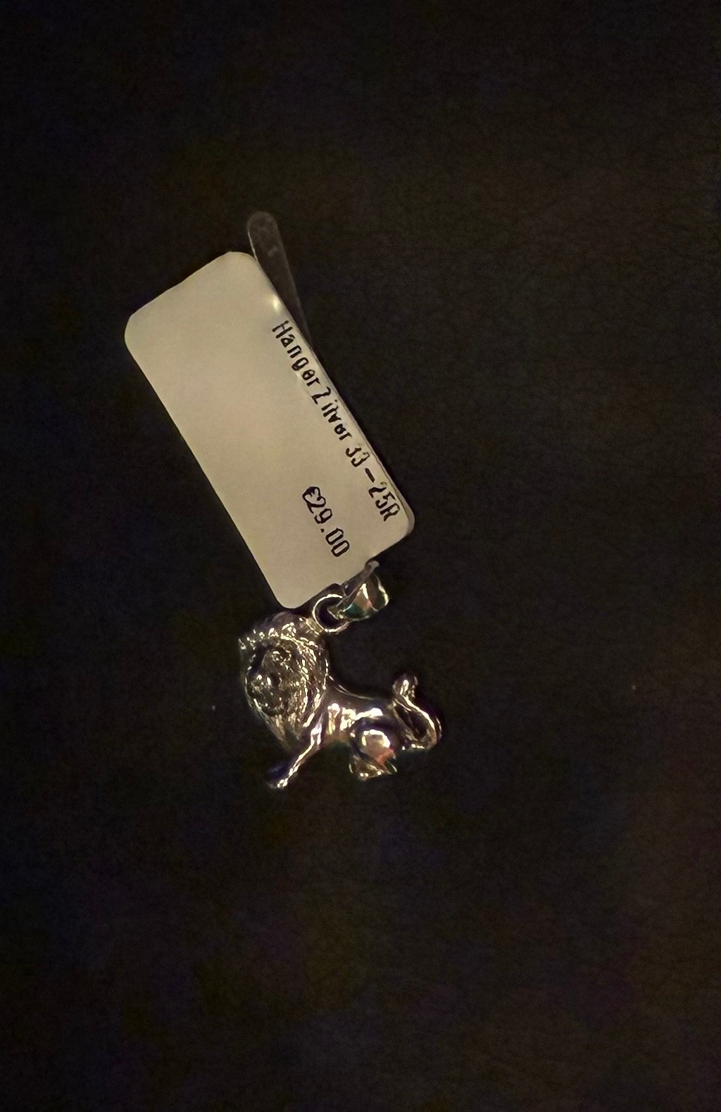 Hanger Horoscoop Zilver Leeuw BZ16