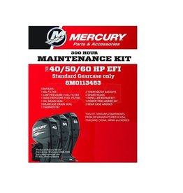 Mercury Mercury Service Kit 40-60 PS EFI (8M0113483)