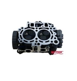 RecMar Parsun Cylinder Head Assembly (PAF20-05030000)