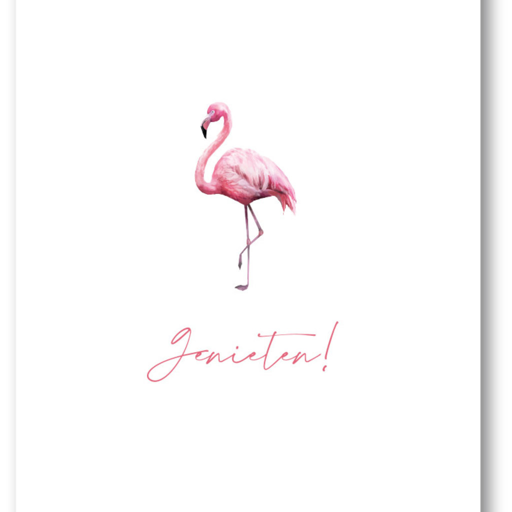 Makerij Meskens Makerij Meskens Kaartje A6: Genieten! flamingo